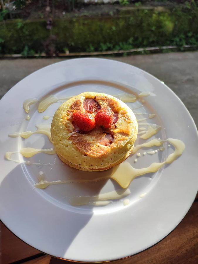 Dina Villa 乌布 外观 照片